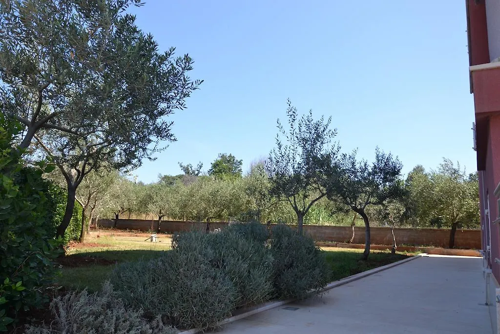 Apartments Roza Medulin